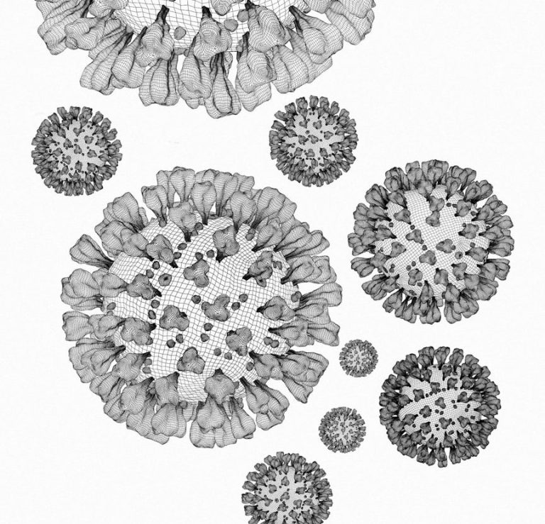 Cell structure Structure of a cell